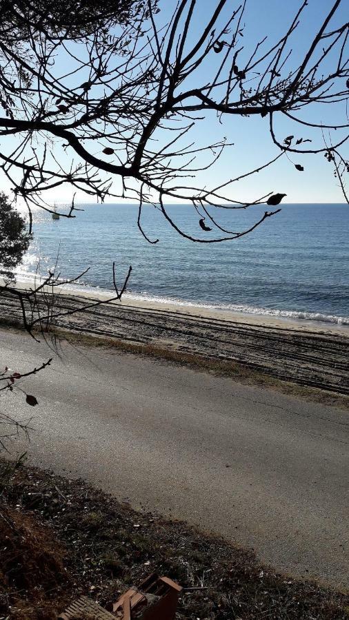 Cozy Apartment Fantastic View Nea Moudania Buitenkant foto